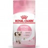 ROYAL CANİN KİTTEN YAVRU KEDİ MAMASI 1 KG